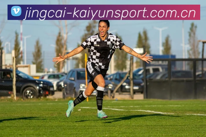 开云体育APP 高清赛事图